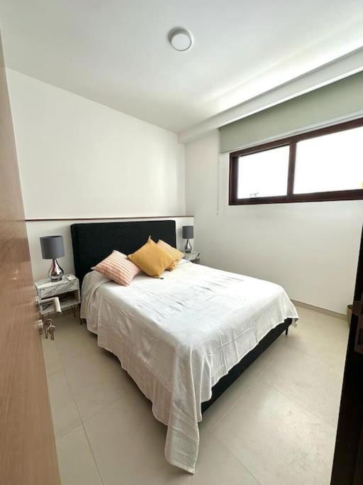Penthouse Con Jacuzzi Y Panoramicas De Selva